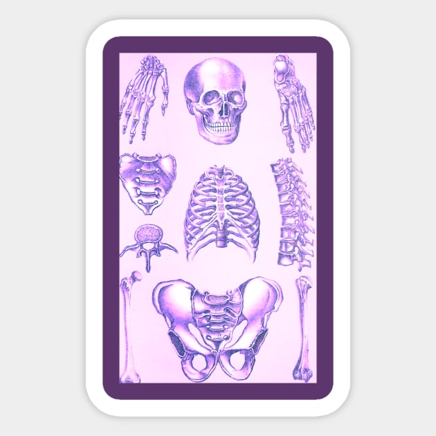 Poor Man's X-Ray Purple Skeleton Sticker by Star Scrunch